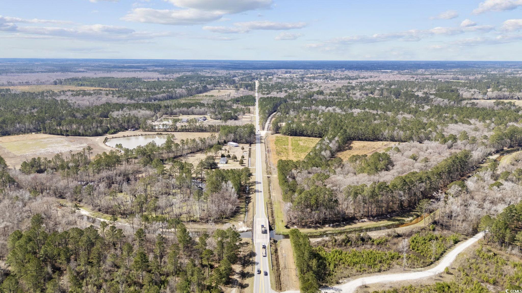 8224 Highway 905 Longs, SC 29568 - Photo 4 of 14 Aerial view with a view of trees