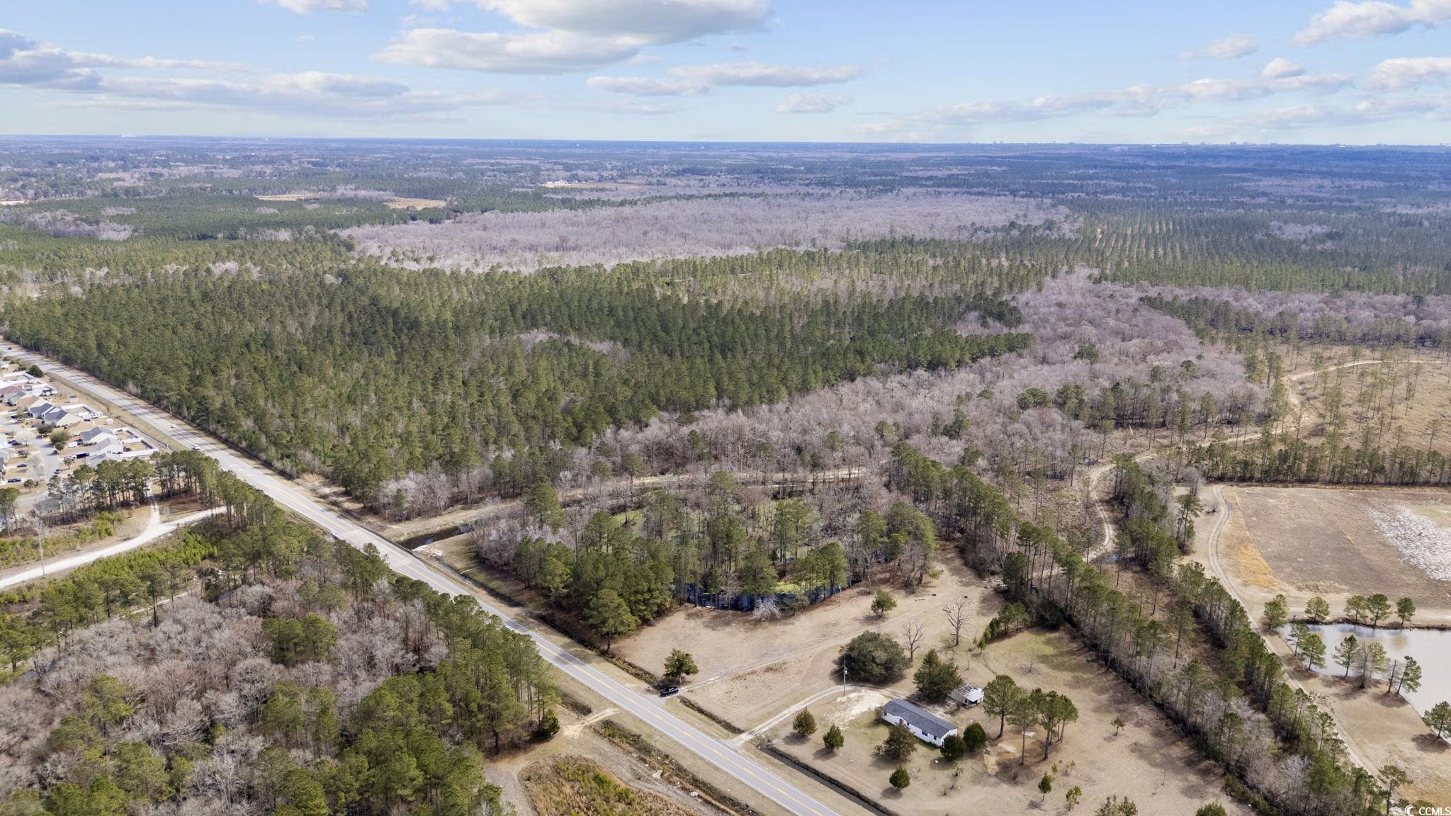 8224 Highway 905 Longs, SC 29568 - Photo 10 of 14 Bird's eye view with a forest view