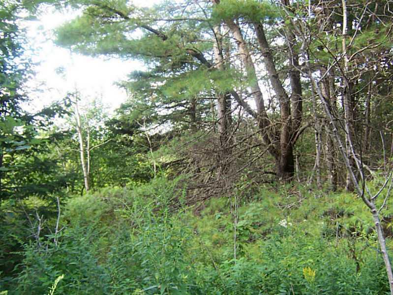 Lot 4-2 South Road Ellsworth, ME 04605 - Photo 3 of 8 Several possible buildings sites...