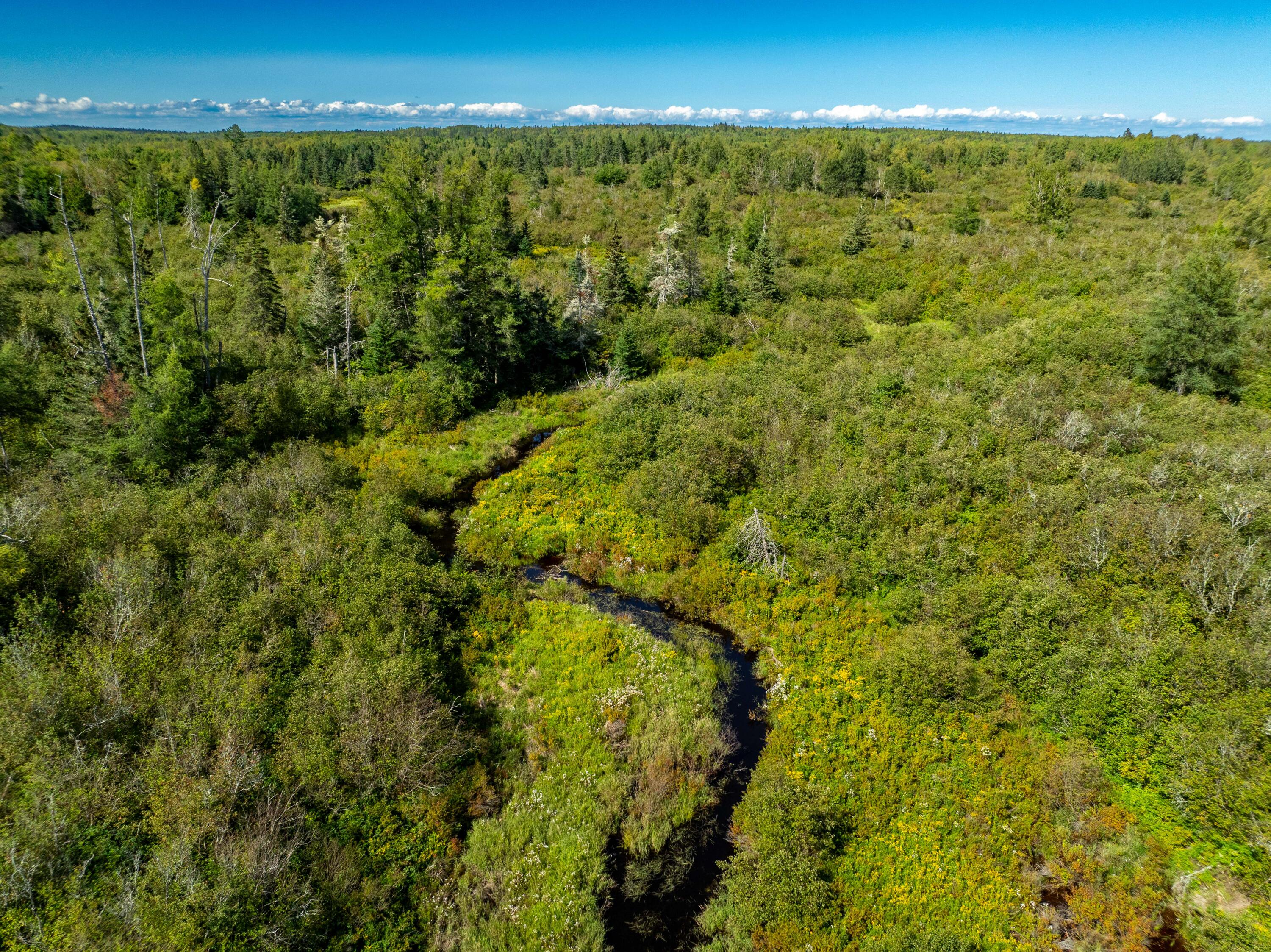 2 Map Lubec, ME 04652 - Photo 32 of 79 530+- acres Trescott Twp Maine (30 of 80