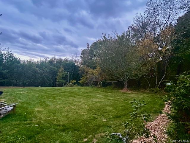 Vacant Lot Merritts Path Rocky Point, NY 11778 - Photo 6 of 10 a view of outdoor space and yard