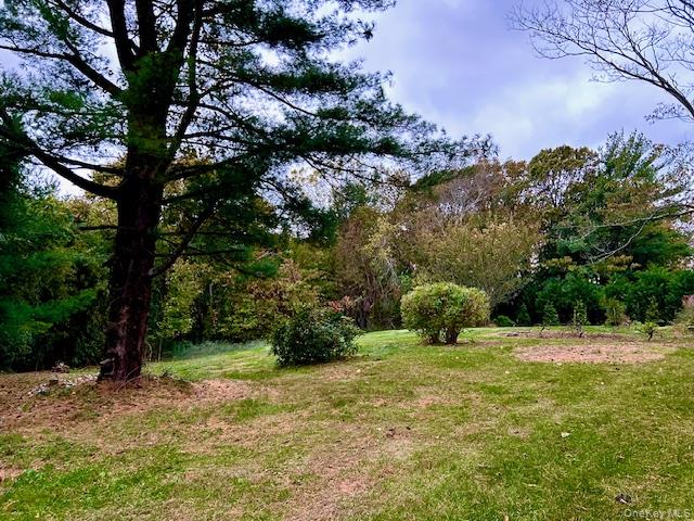Vacant Lot Merritts Path Rocky Point, NY 11778 - Photo 7 of 10 a view of a garden with a tree
