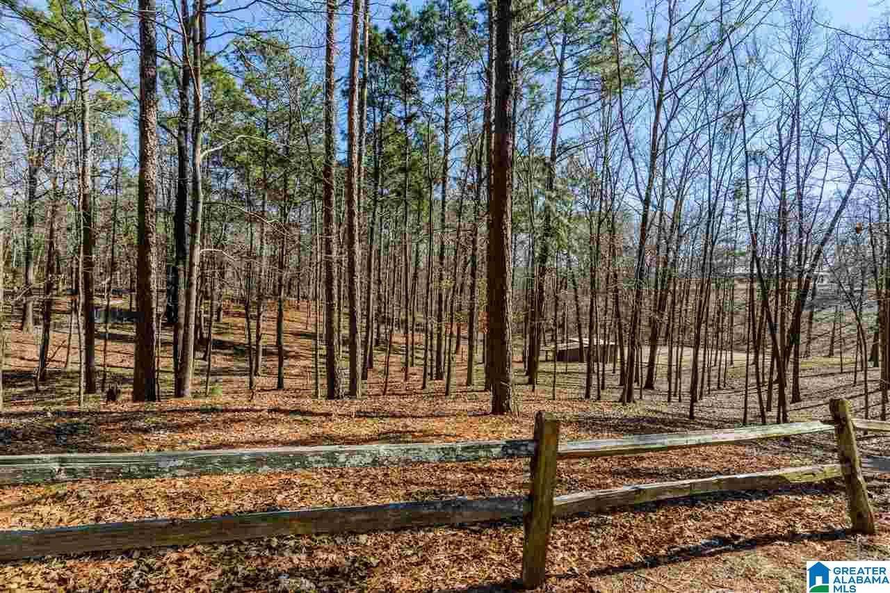 3215 Mountain Ridge Circle, Unit 4 2 Birmingham, AL 35242 - Photo 10 of 18