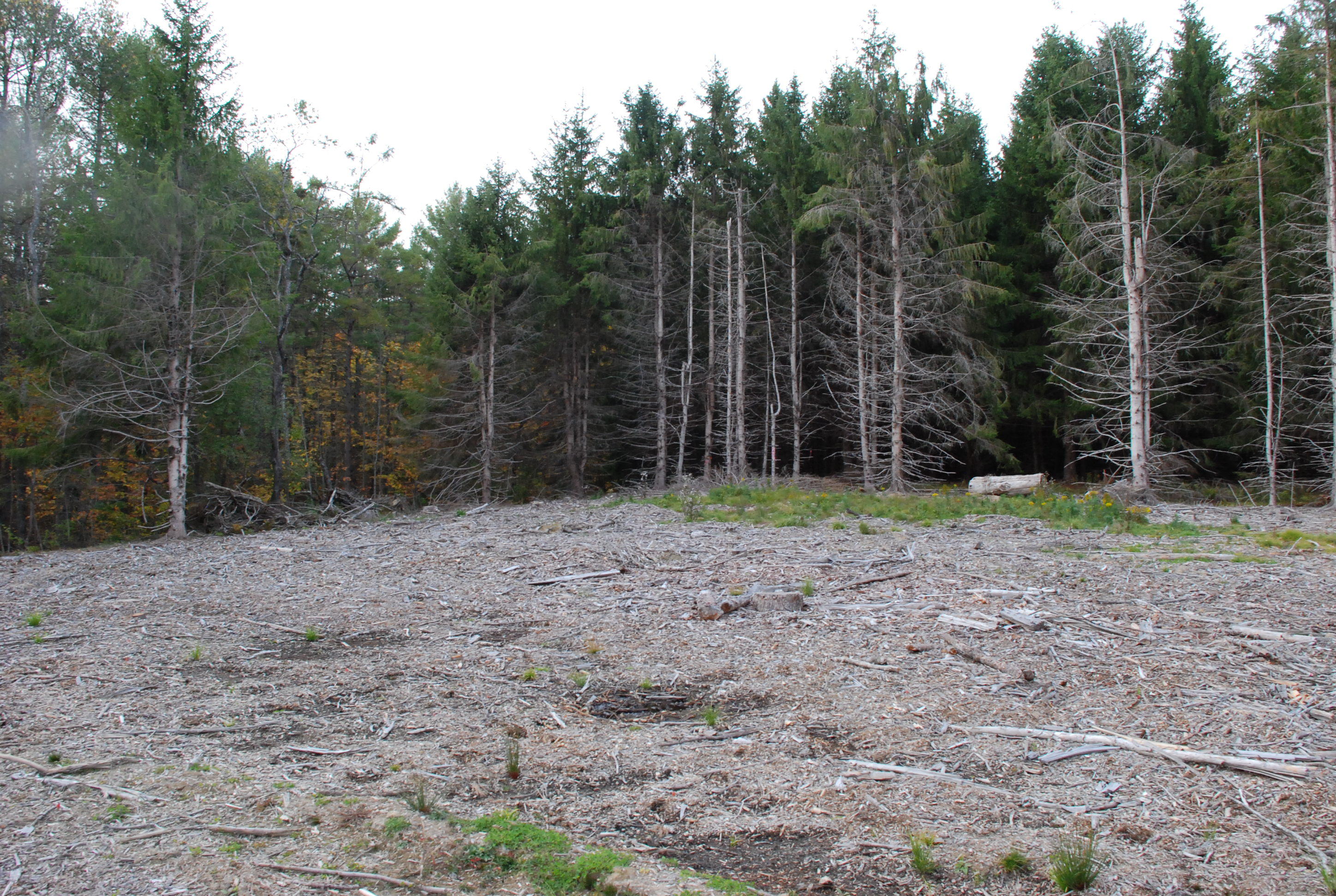 538 Main Road South Hampden, ME 04444 - Photo 20 of 23 DSC_0846