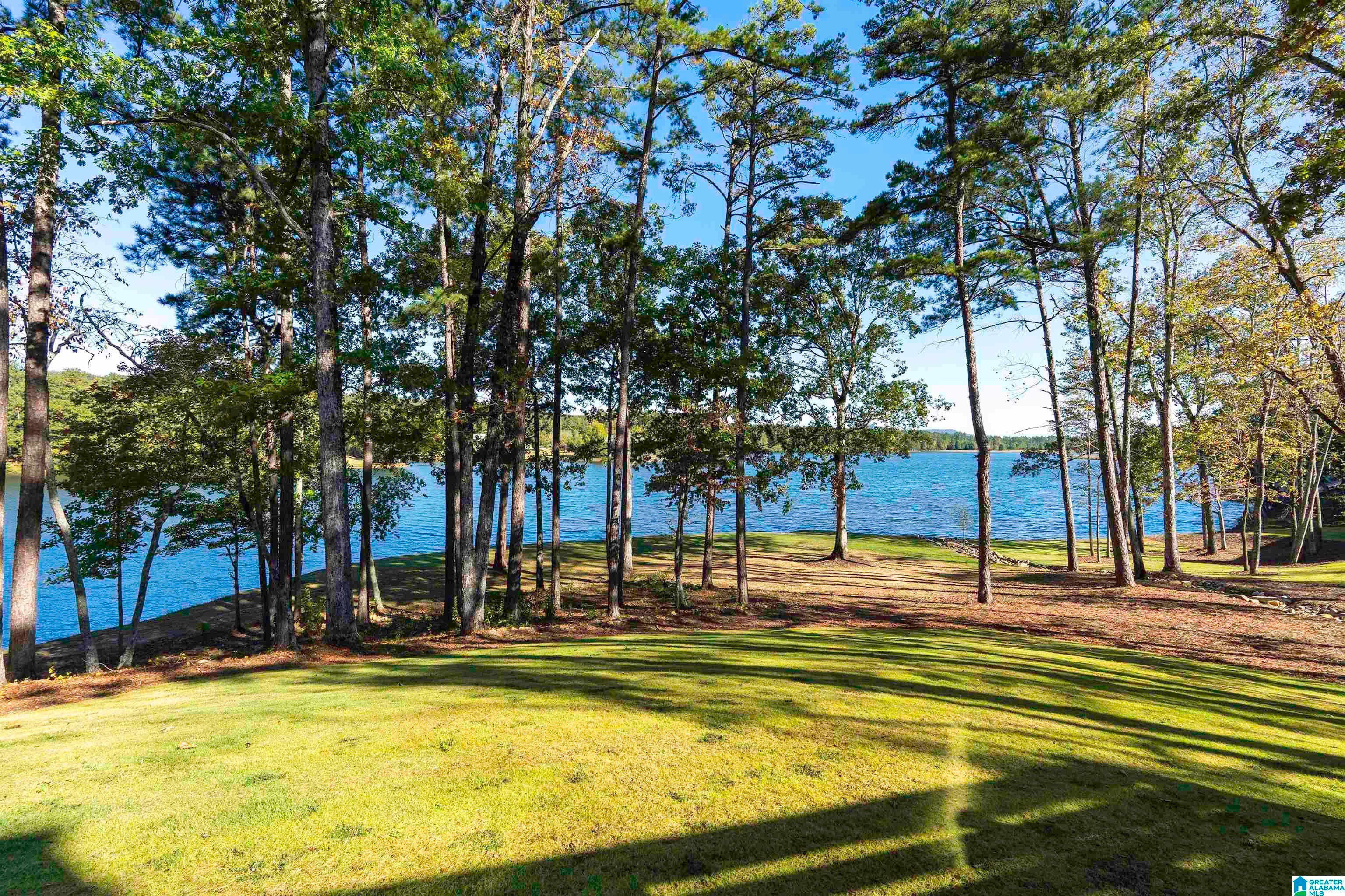 175 Saunders Bridge Road Sterrett, AL 35147 - Photo 71 of 86 Gallery Image 71