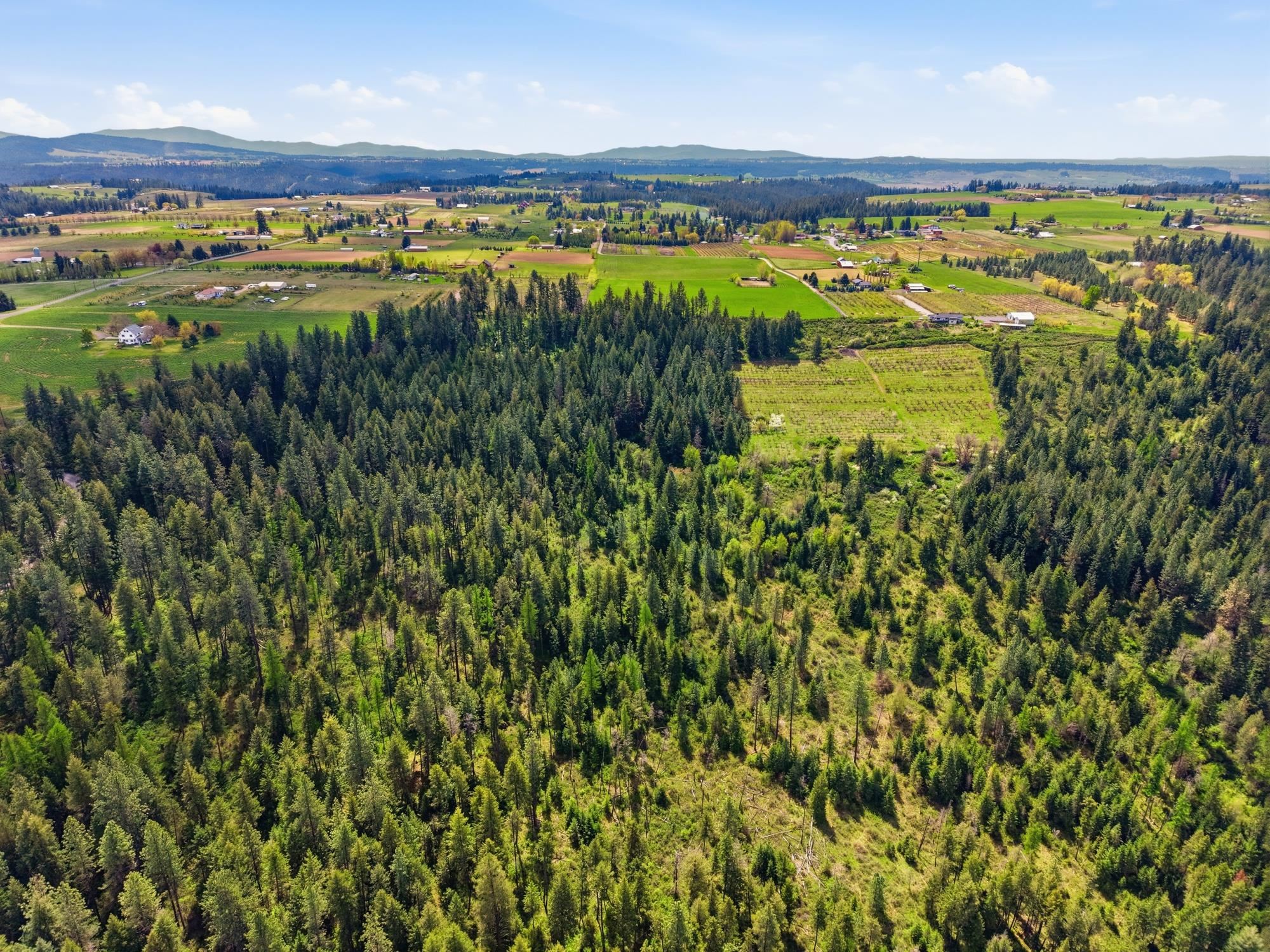 Xxxx East Woolard Road Colbert, WA 99005 - Photo 18 of 27