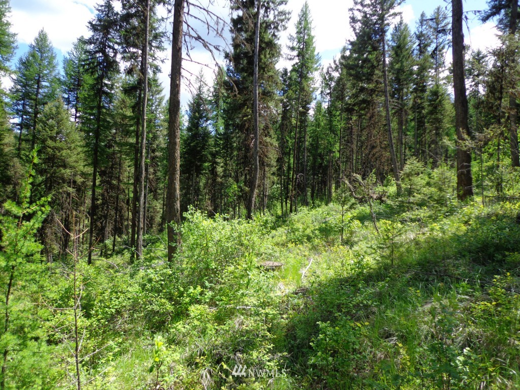 -tbd Long Alec Creek Road Curlew, WA 99118 - Photo 1 of 17 Gallery Image 1