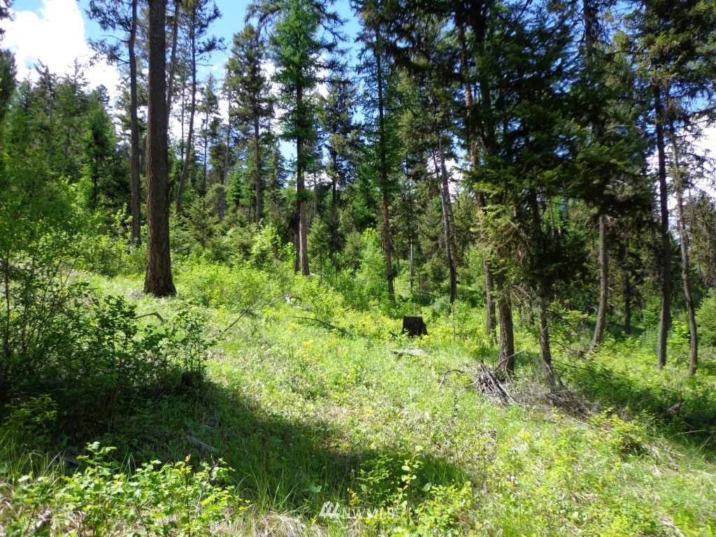 -tbd Long Alec Creek Road Curlew, WA 99118 - Photo 2 of 17 Gallery Image 2
