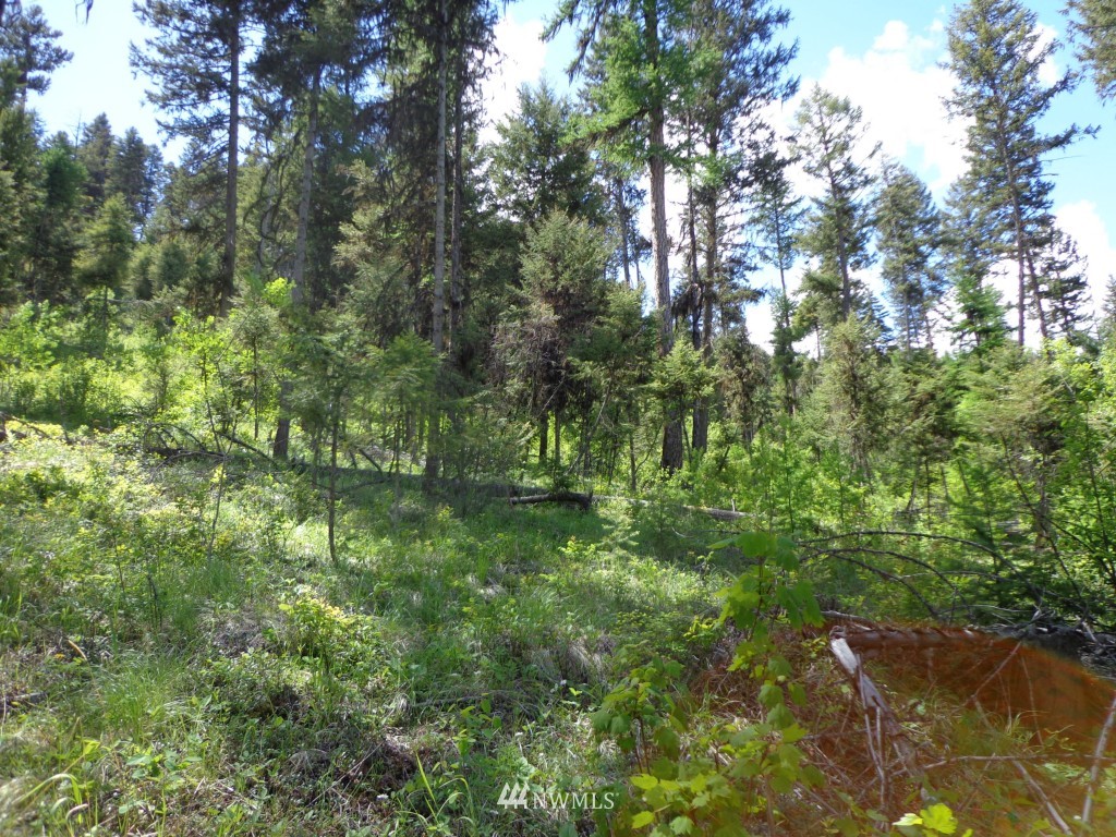 -tbd Long Alec Creek Road Curlew, WA 99118 - Photo 11 of 17 Gallery Image 11