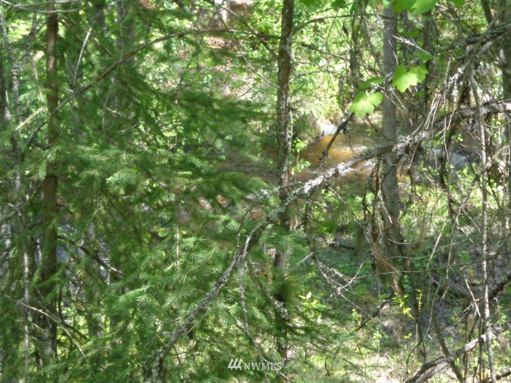 -tbd Long Alec Creek Road Curlew, WA 99118 - Photo 16 of 17 Gallery Image 16