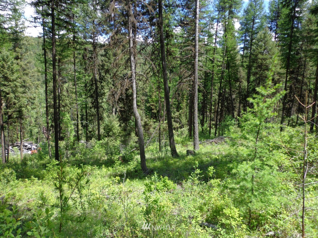 -tbd Long Alec Creek Road Curlew, WA 99118 - Photo 4 of 17 Gallery Image 4