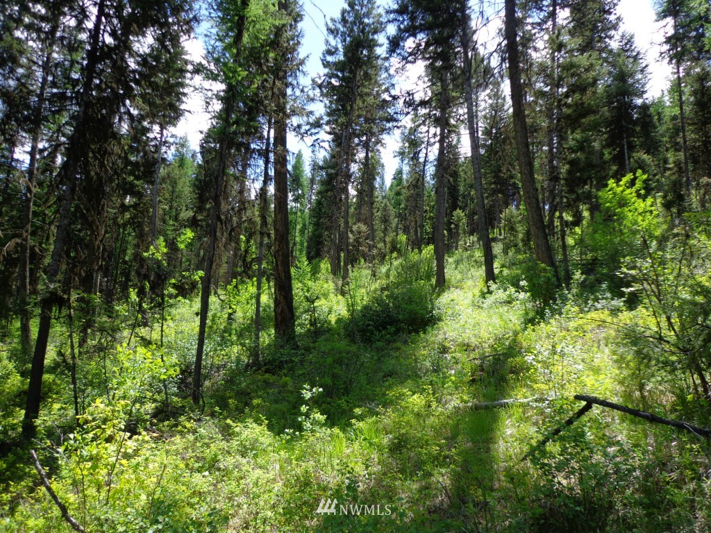 -tbd Long Alec Creek Road Curlew, WA 99118 - Photo 7 of 17 Gallery Image 7