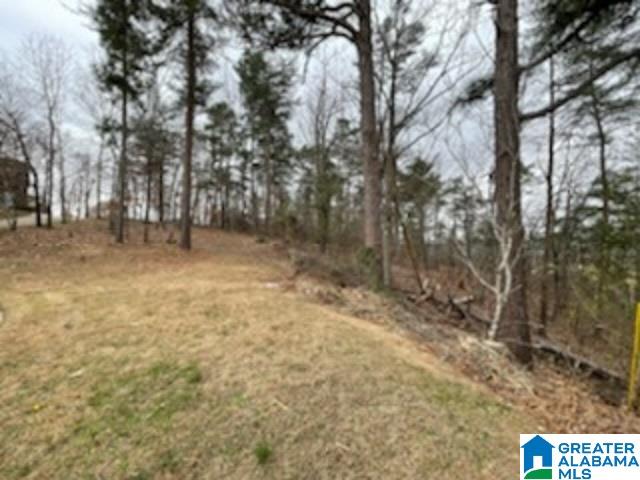 462 Conroy Circle, Unit 710 Sterrett, AL 35147 - Photo 9 of 9