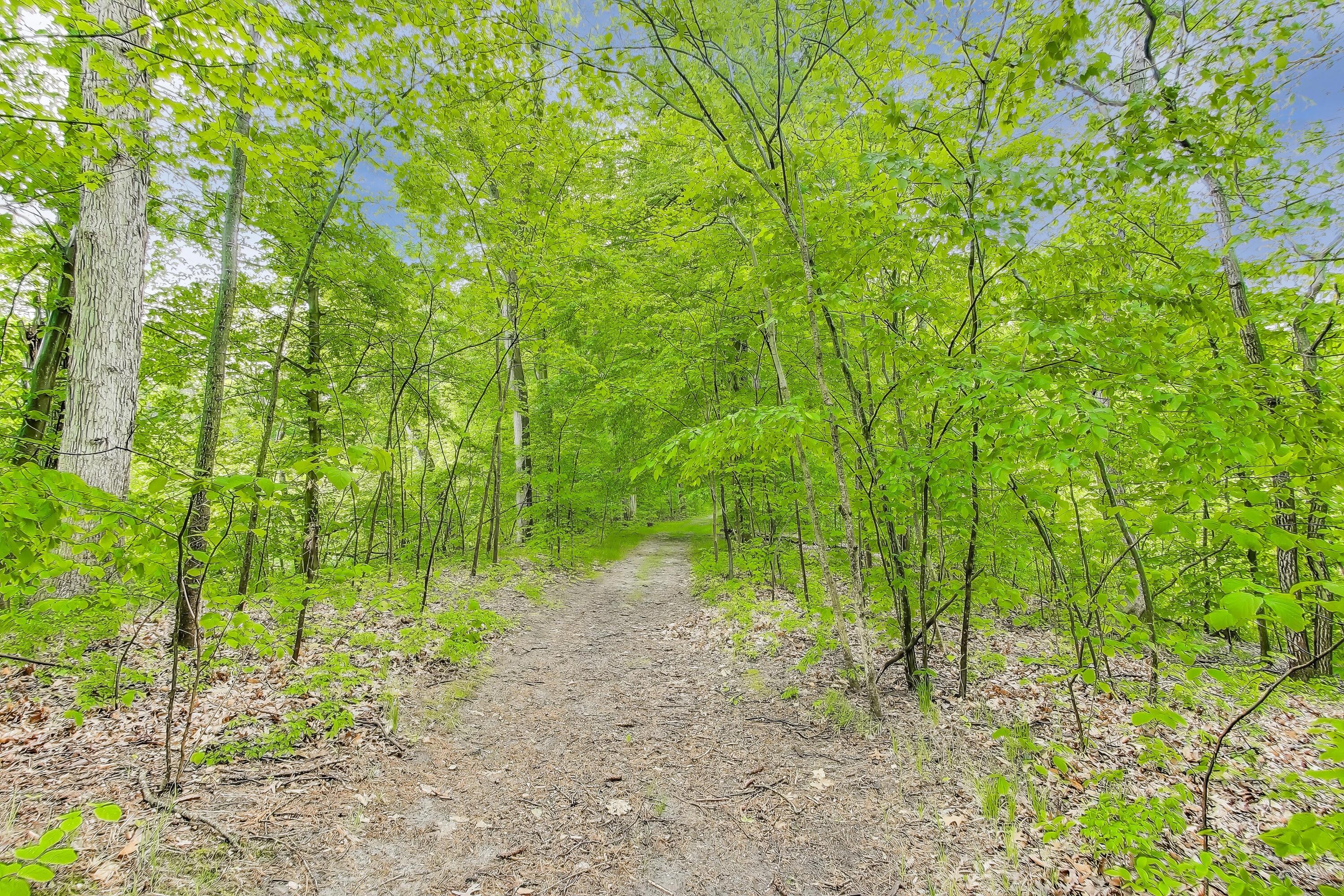 451 Johnson Road Trail Creek, IN 46360 - Photo 50 of 55 a view of a yard with plants and large trees