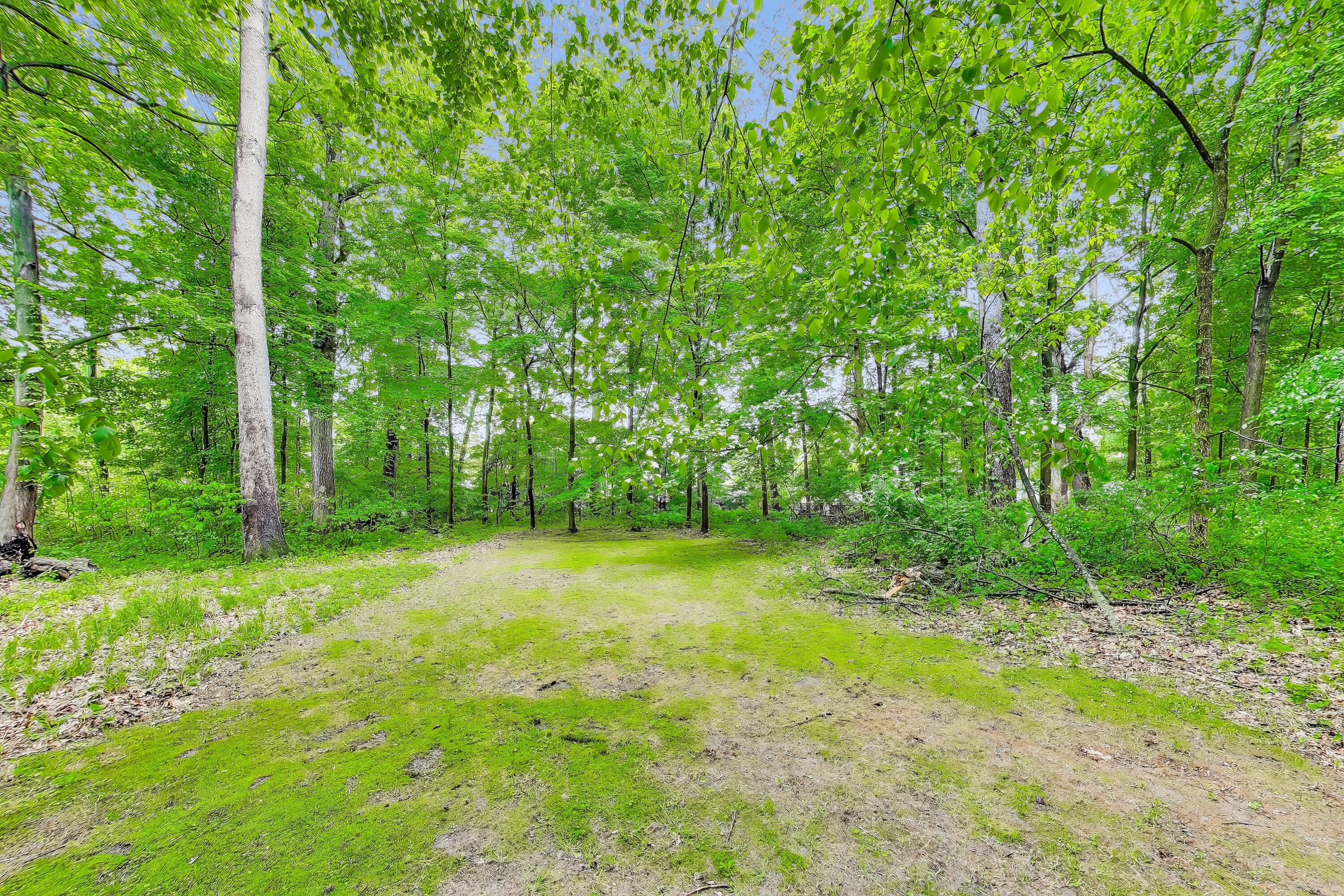 451 Johnson Road Trail Creek, IN 46360 - Photo 54 of 55 a view of a big yard with large trees