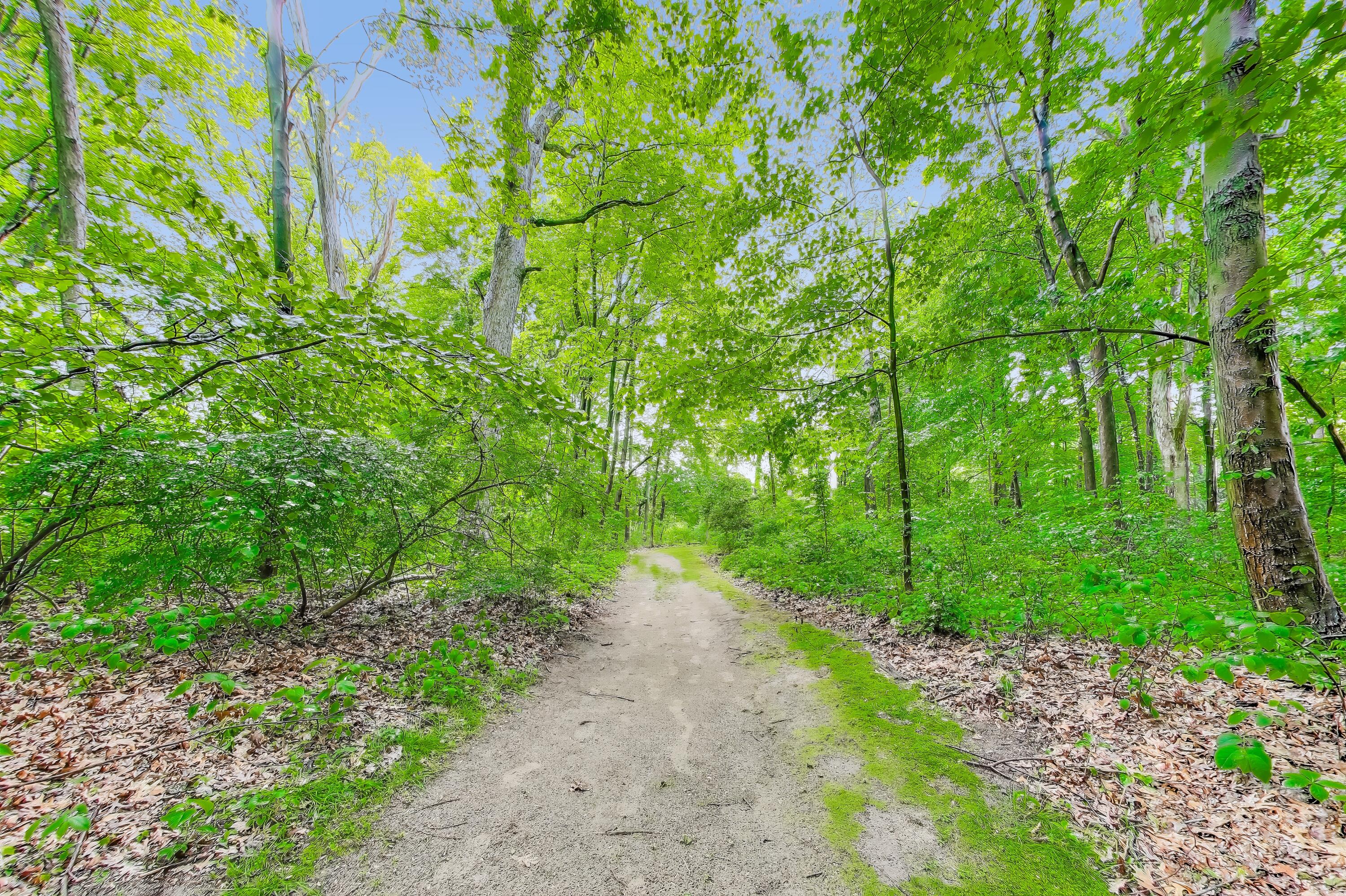 451 Johnson Road Trail Creek, IN 46360 - Photo 55 of 55 a view of a pathway both side of grassy field with trees