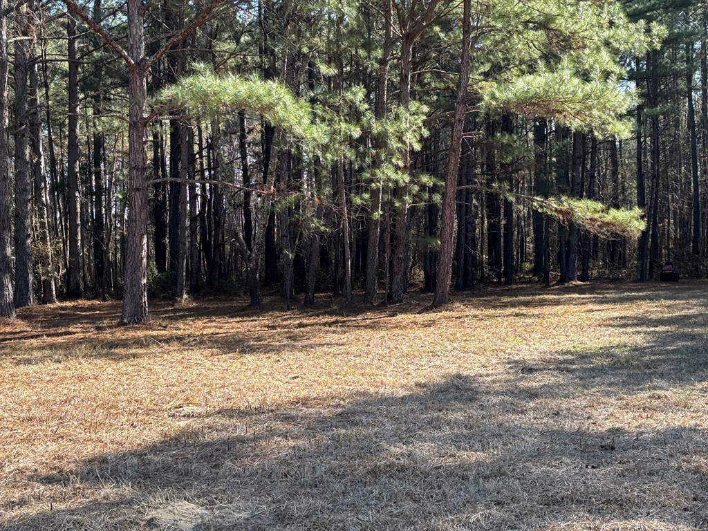 2018 South Brewington Road Manning, SC 29102 - Photo 11 of 13 Gallery Image 11