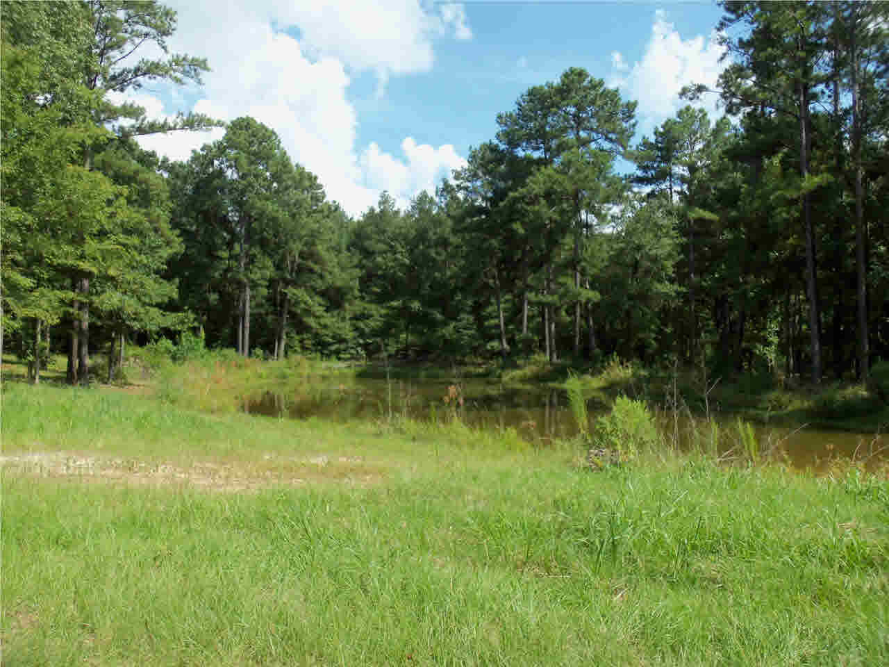 0 Hunt Circle, Unit 5 Madison, MS 39110 - Photo 1 of 10 Photo 1