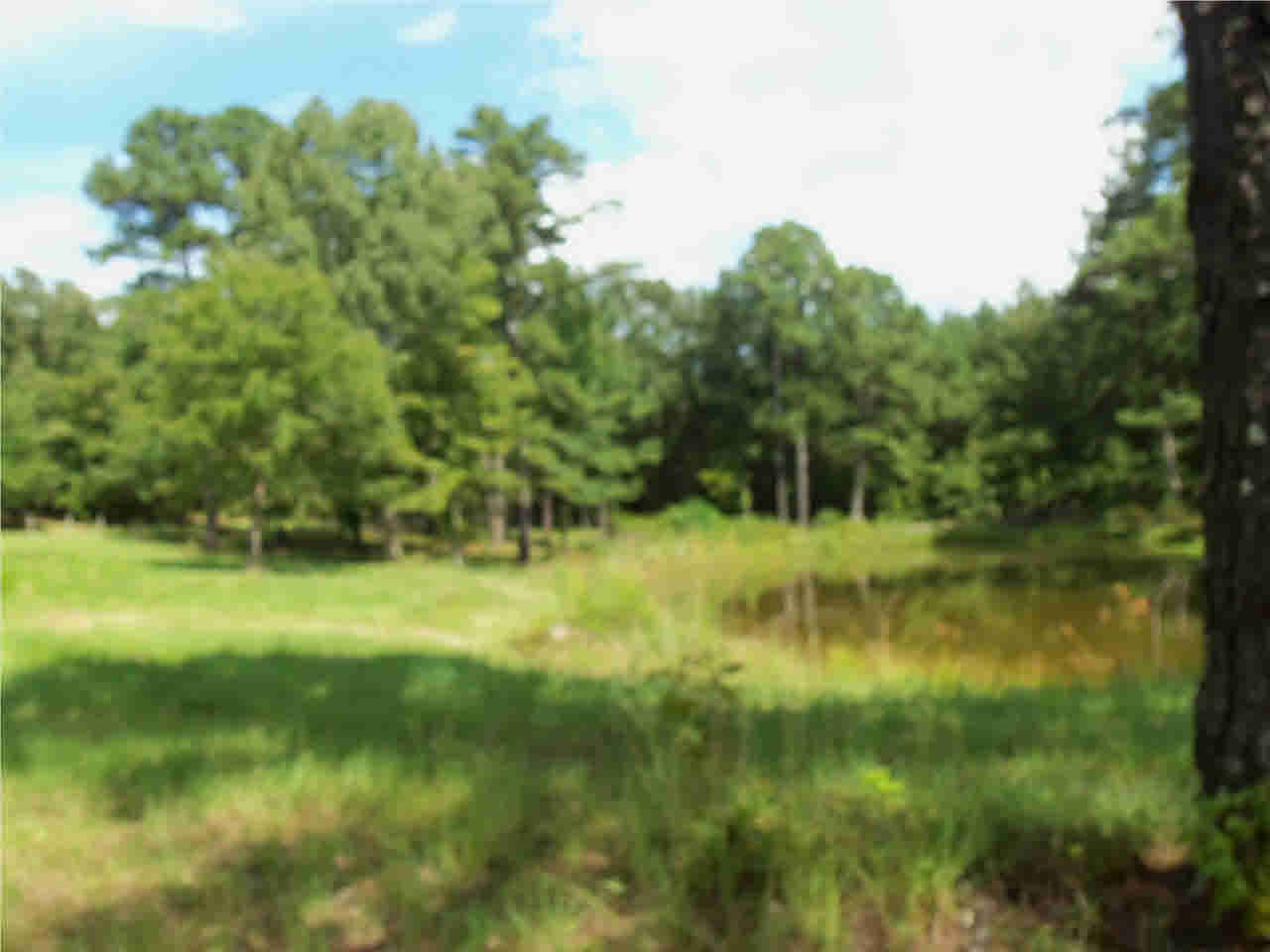 0 Hunt Circle, Unit 5 Madison, MS 39110 - Photo 2 of 10 Photo 2