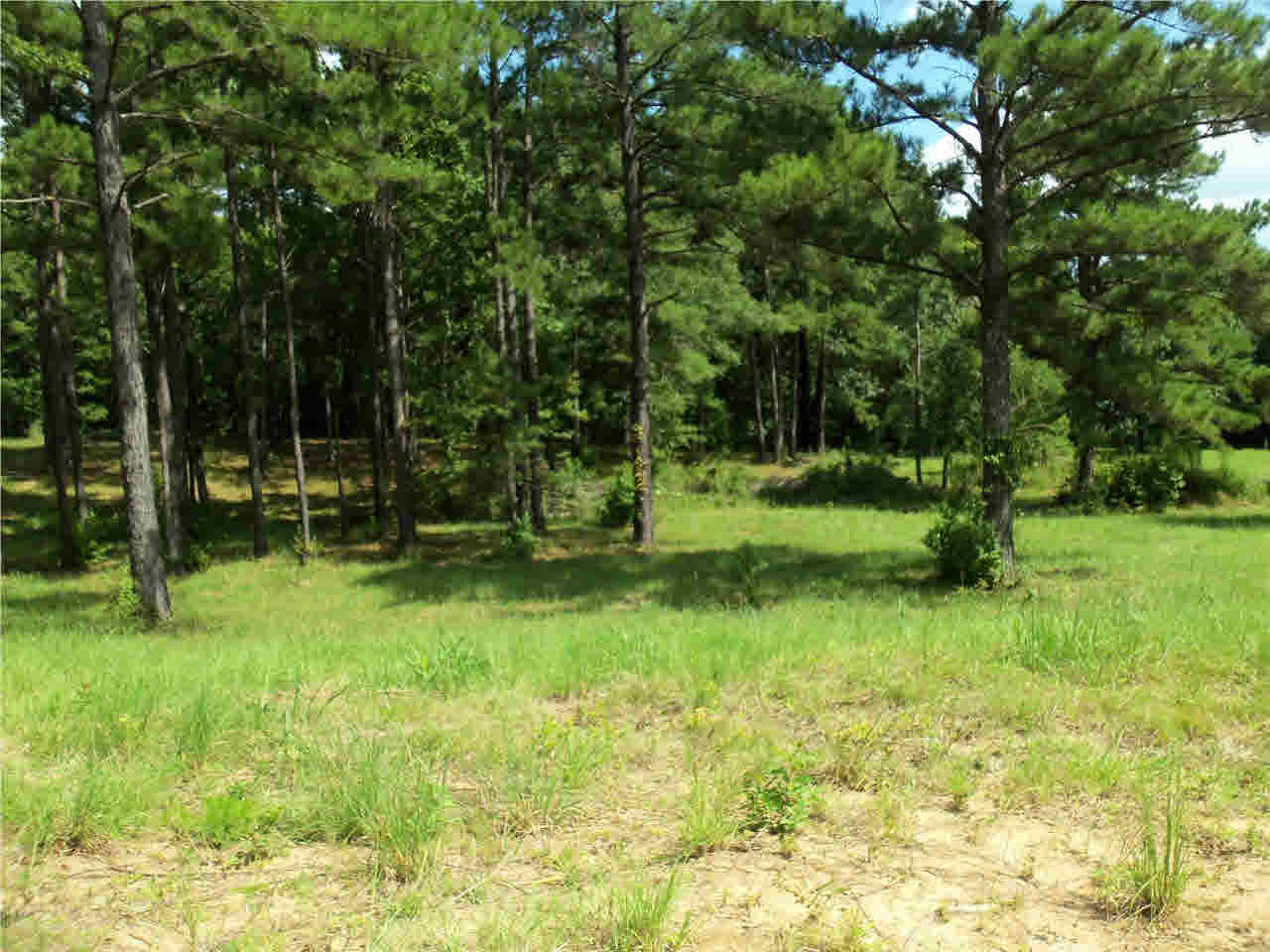 0 Hunt Circle, Unit 5 Madison, MS 39110 - Photo 4 of 10 Photo 4