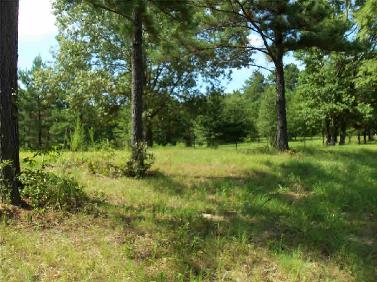 0 Hunt Circle, Unit 5 Madison, MS 39110 - Photo 5 of 10 Photo 5
