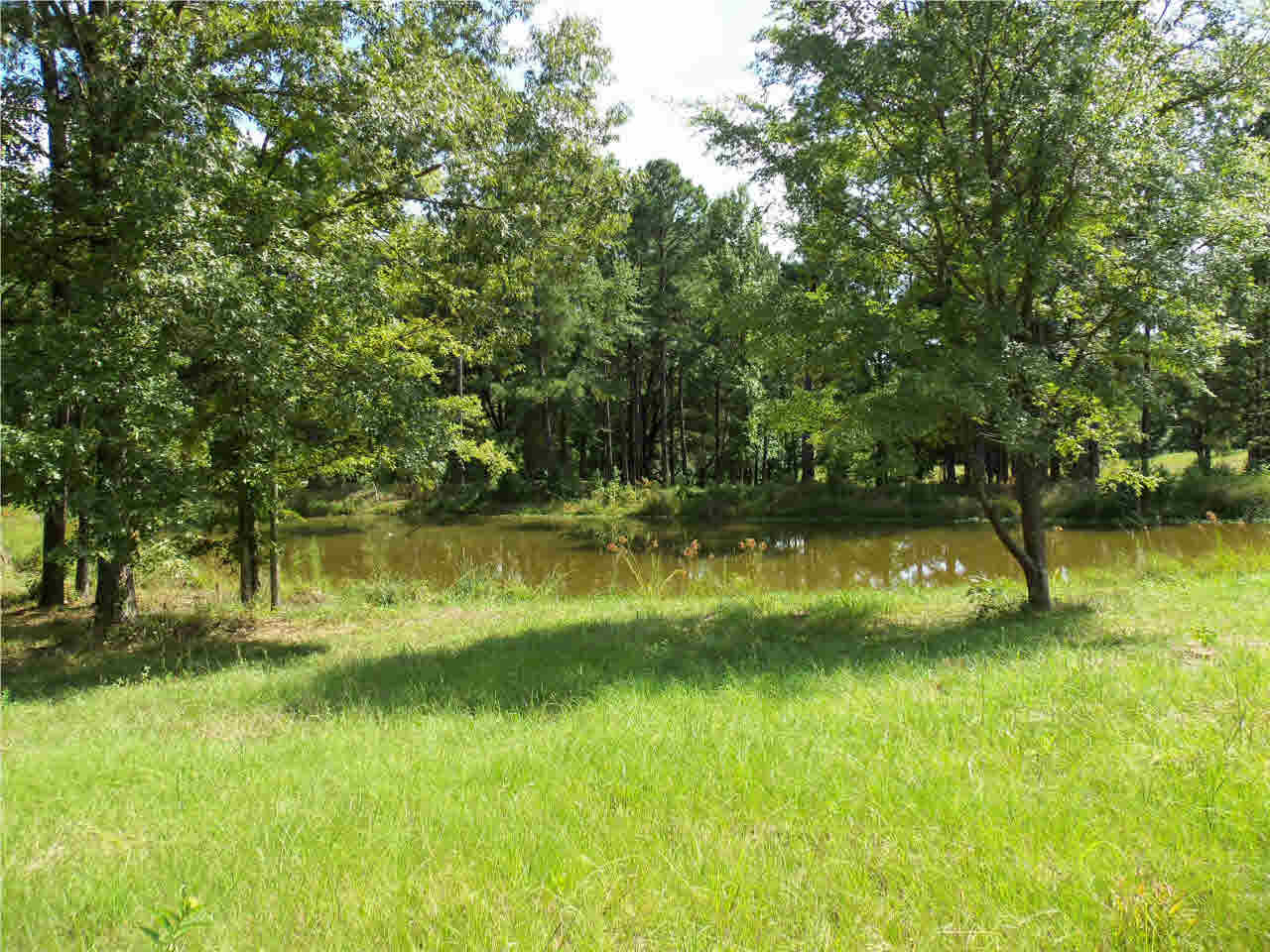 0 Hunt Circle, Unit 5 Madison, MS 39110 - Photo 6 of 10 Photo 6