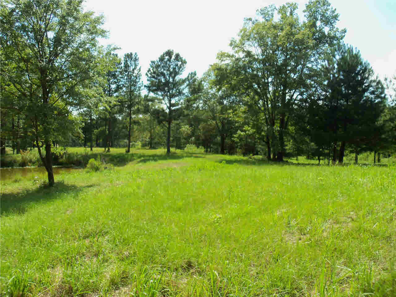 0 Hunt Circle, Unit 5 Madison, MS 39110 - Photo 7 of 10 Photo 7