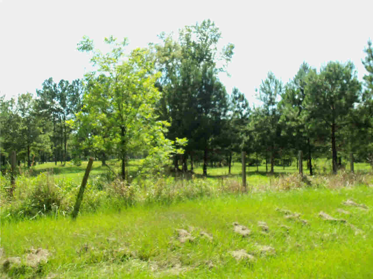 0 Hunt Circle, Unit 5 Madison, MS 39110 - Photo 8 of 10 Photo 8