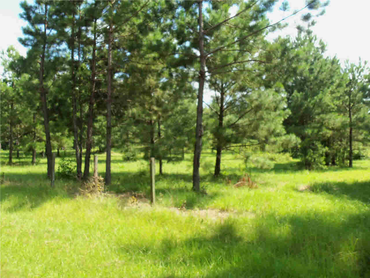 0 Hunt Circle, Unit 5 Madison, MS 39110 - Photo 10 of 10 Photo 10