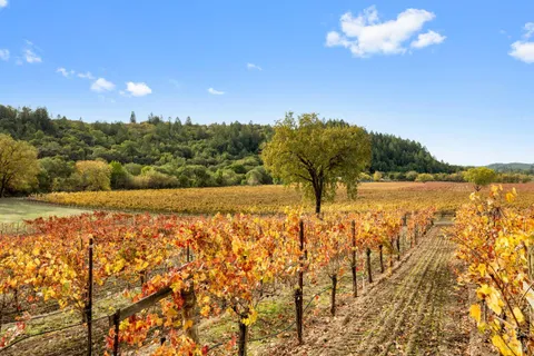 a view of a lake with a yard