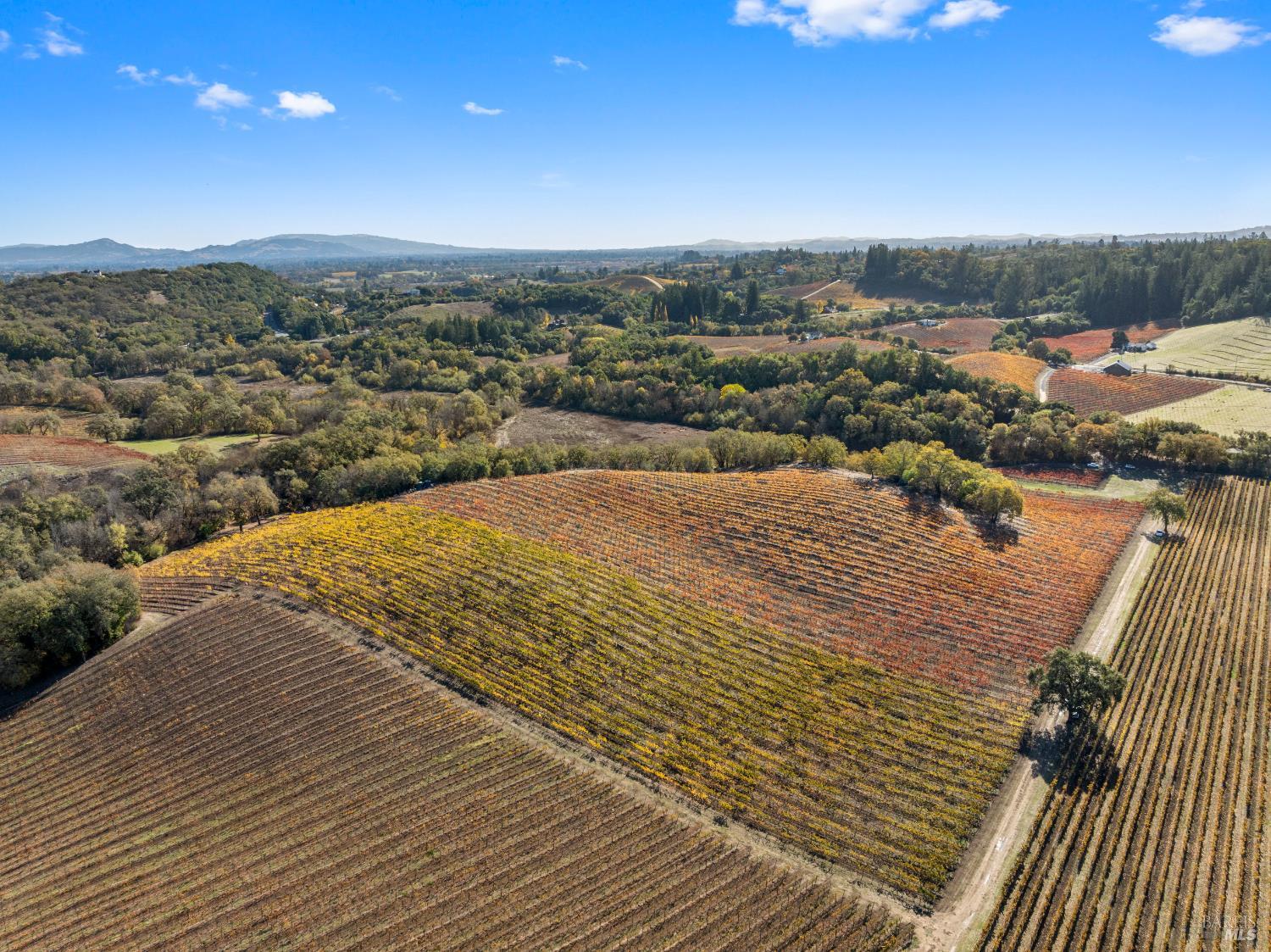 6750 River Road Forestville, CA 95436 - Photo 12 of 16 a view of a city