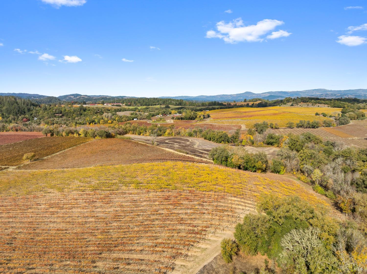 6750 River Road Forestville, CA 95436 - Photo 4 of 16 a view of an ocean