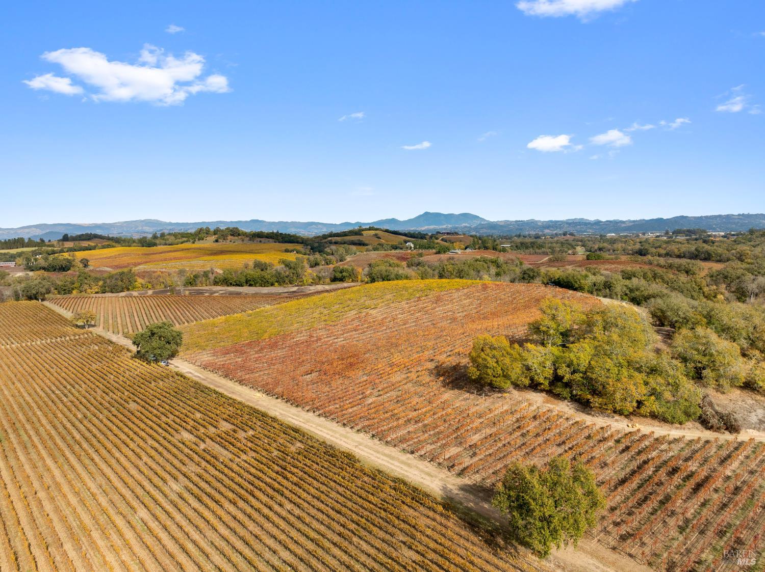 6750 River Road Forestville, CA 95436 - Photo 5 of 16 a view of an ocean and beach