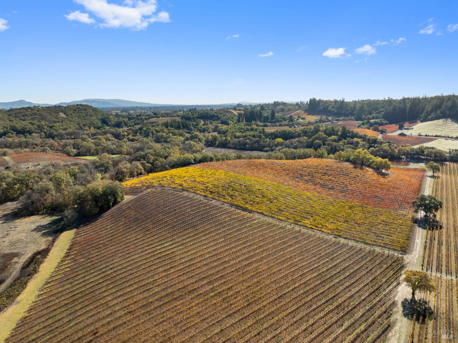 6750 River Road Forestville, CA 95436 - Photo 9 of 16 a view of an ocean and city