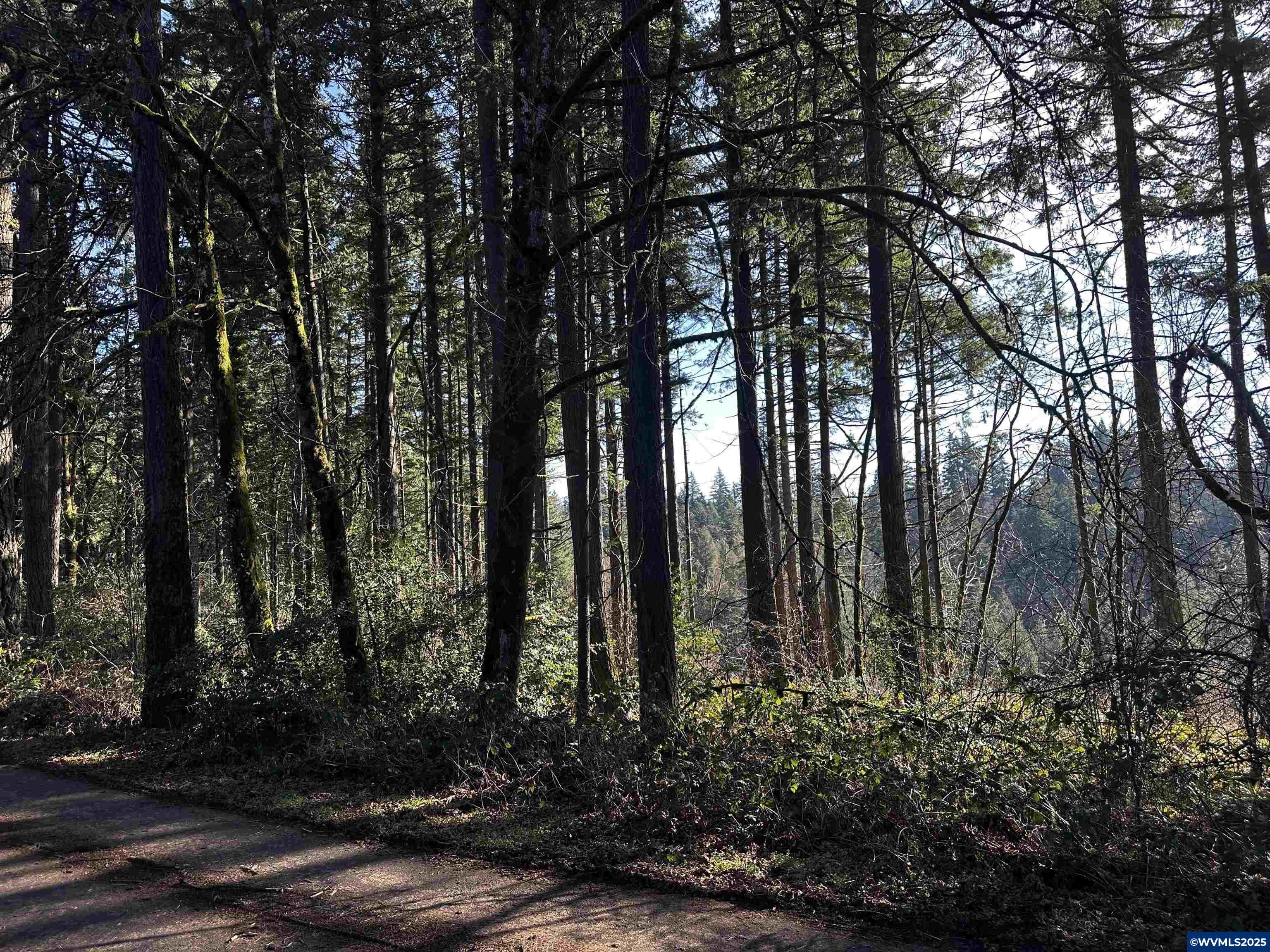 South Meyers (next To) Road Oregon City, OR 97045 - Photo 4 of 17