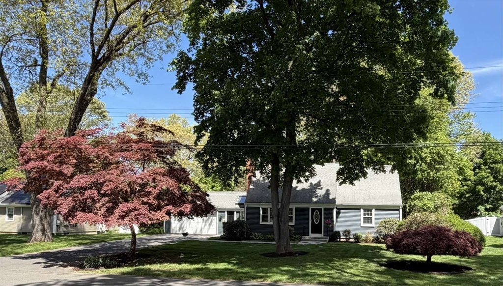 74 Birch Road Longmeadow, MA 01106 - Photo 2 of 38 a front view of a house with a garden and tree