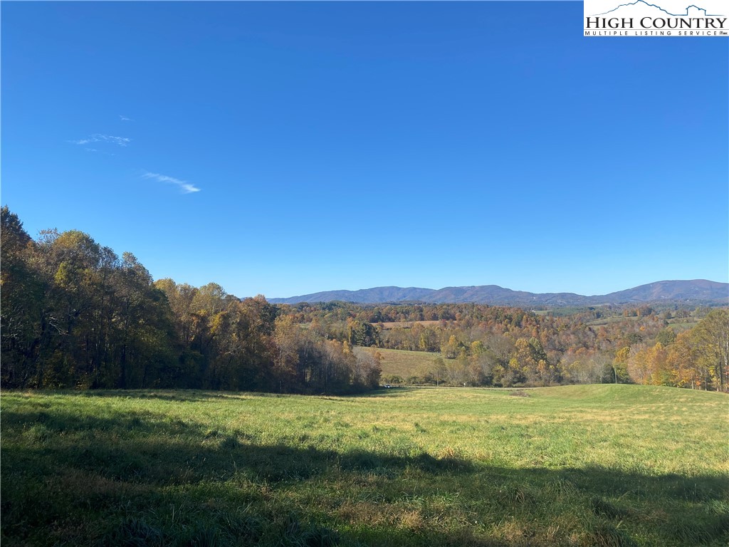 New Haven Road Sparta, NC 28675 - Photo 3 of 12 a view of a grassy field with an trees