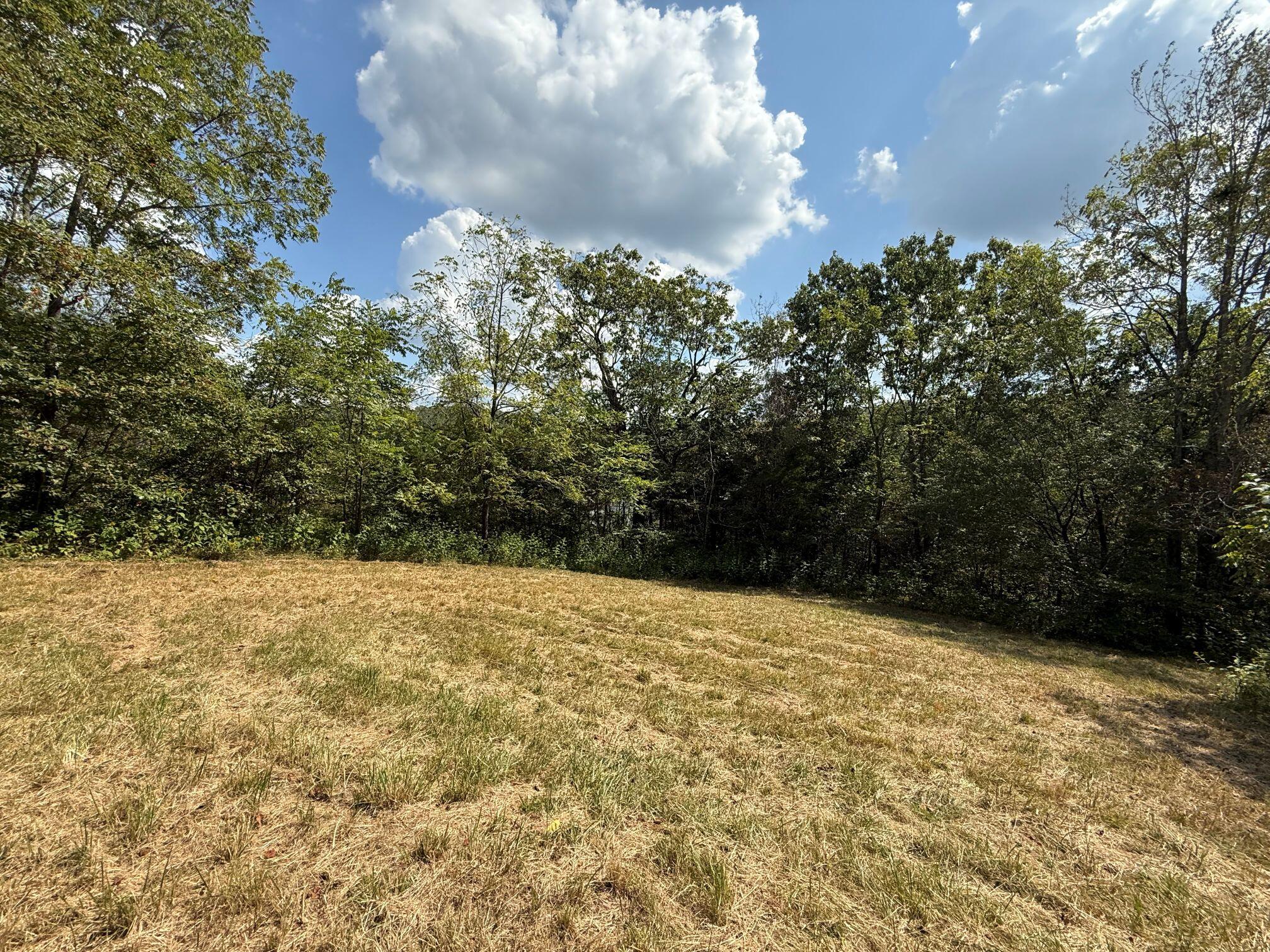 9999 Rose Hill Road Mount Vernon, KY 40456 - Photo 3 of 13 IMG_0855