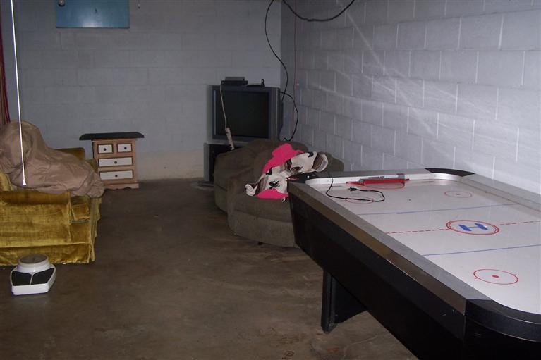 4856 East Baseline Road Mount Pleasant, MI 48858 - Photo 12 of 20 Additional Photo