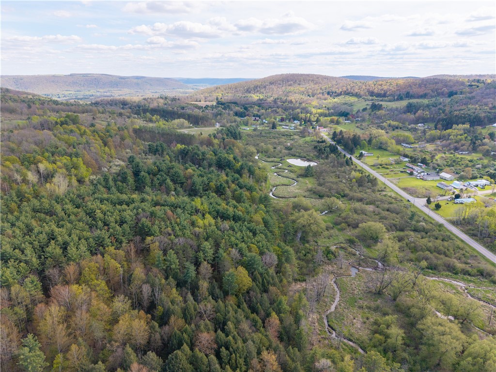 0 County Route 13 Bath, NY 14810 - Photo 6 of 26