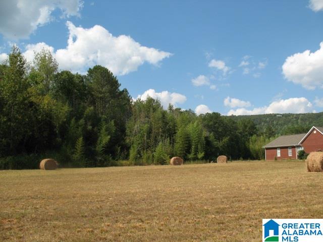 1-parcel 1-parcel Crawford Cove Road, Unit 1 LOT Springville, AL 35146 - Photo 1 of 4
