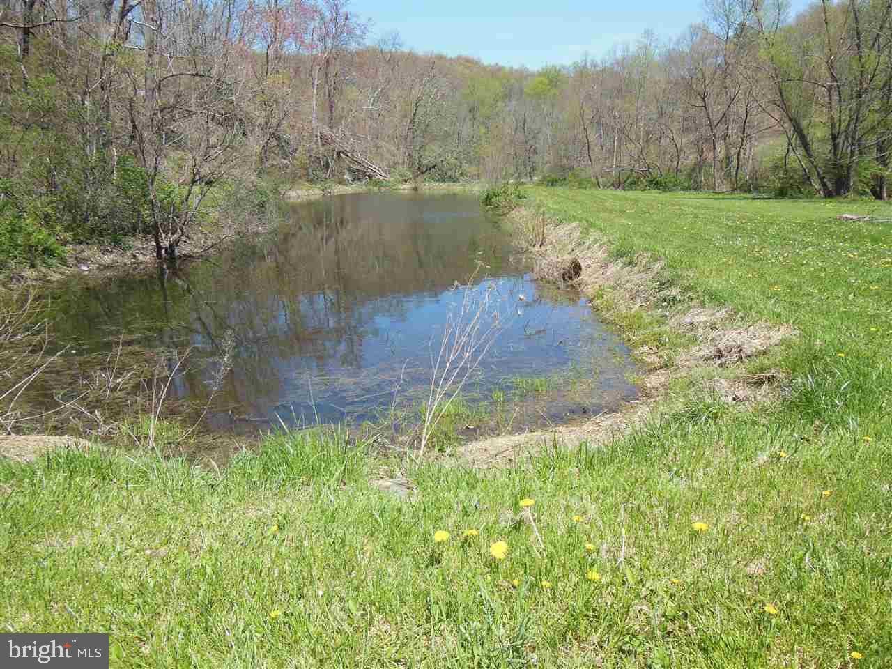 11820 Line Road New Freedom, PA 17349 - Photo 34 of 36 Gallery Image 34