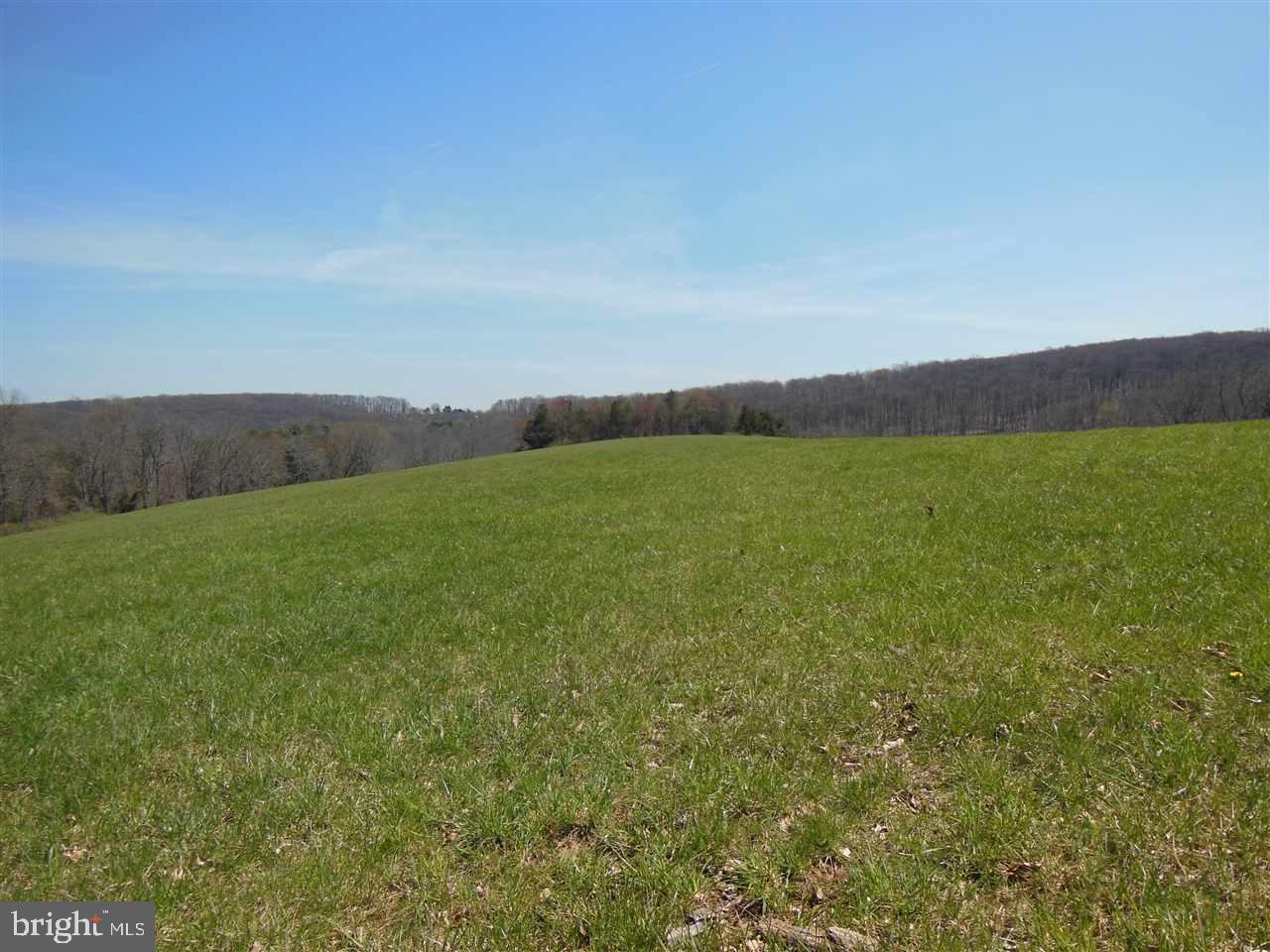 11820 Line Road New Freedom, PA 17349 - Photo 35 of 36 Gallery Image 35