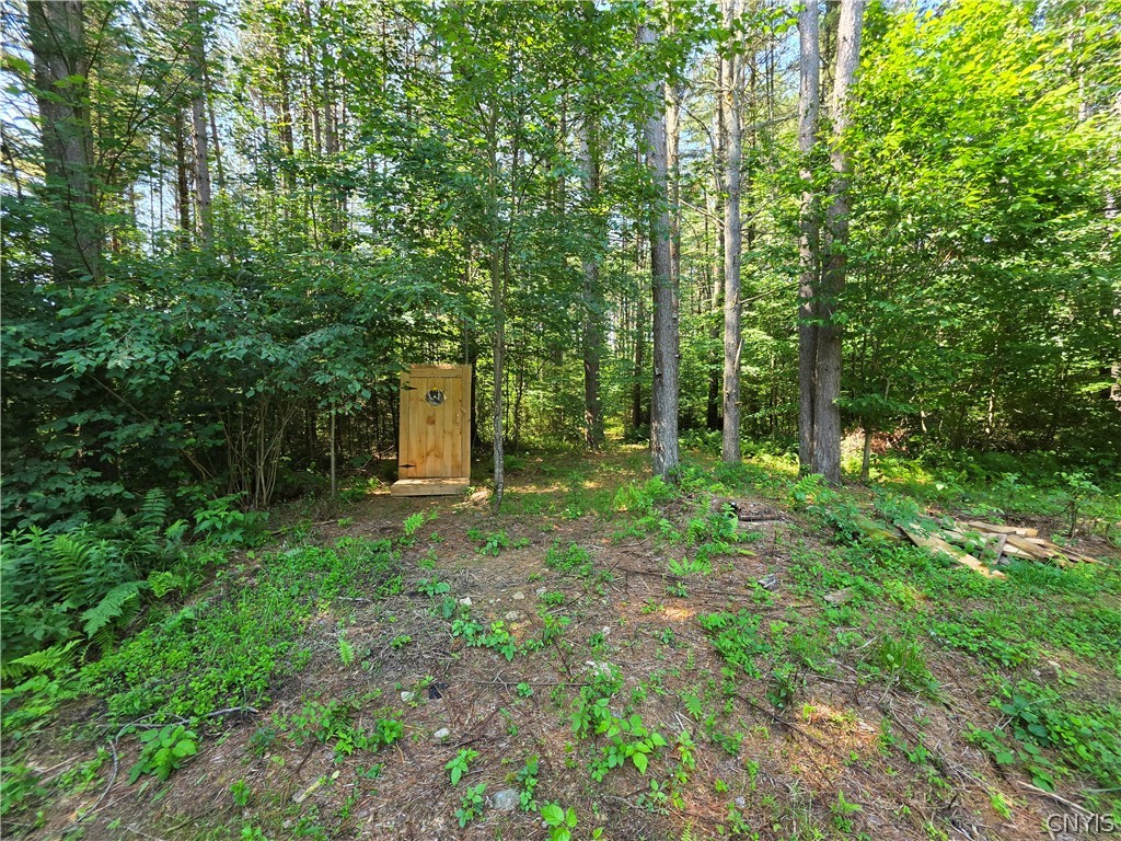 13113 Henry Road Diana, NY 13665 - Photo 30 of 38 Gallery Image 30