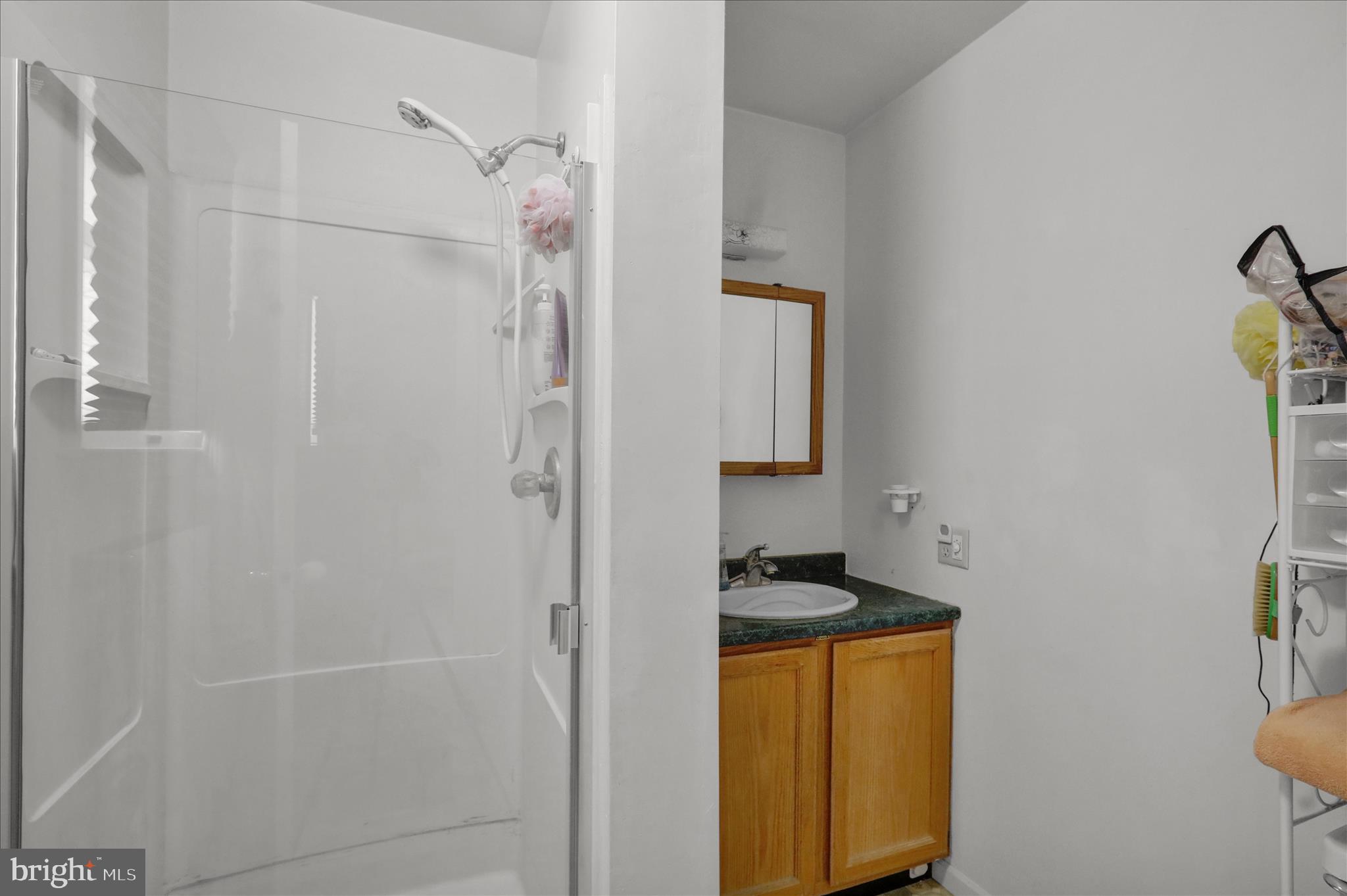 1007 Pepper Ridge Drive Reading, PA 19606 - Photo 22 of 31 360_8512