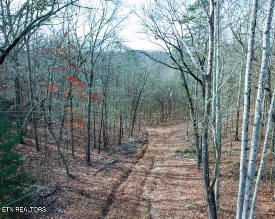 $100,000 | Tarwater Street, Rockwood, TN 37854
