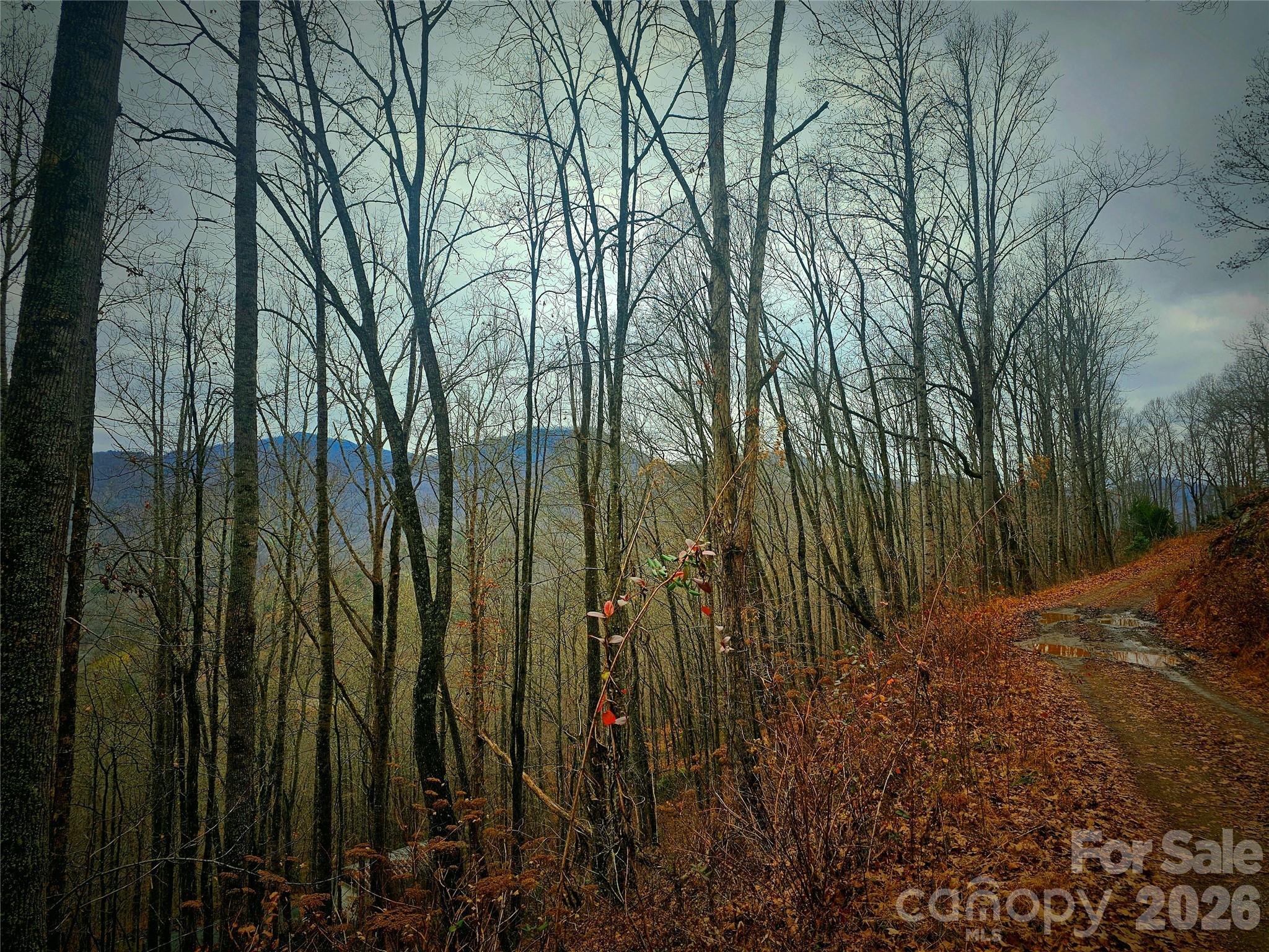 21 Long Winding Road, Unit 4 5 Sylva, NC 28779 - Photo 9 of 15