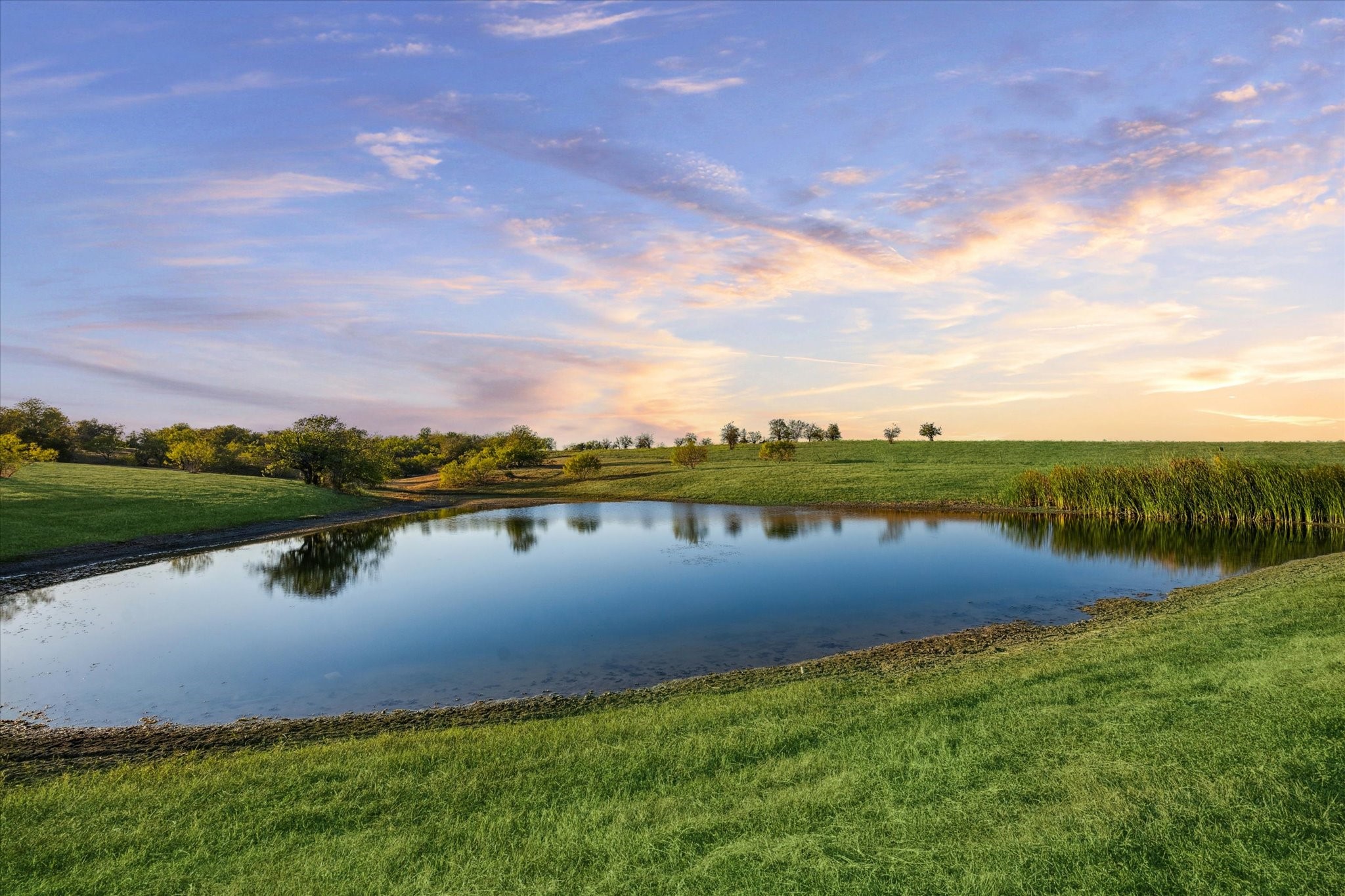 1017 Rockhouse Road New Ulm, TX 78950 - Photo 15 of 19