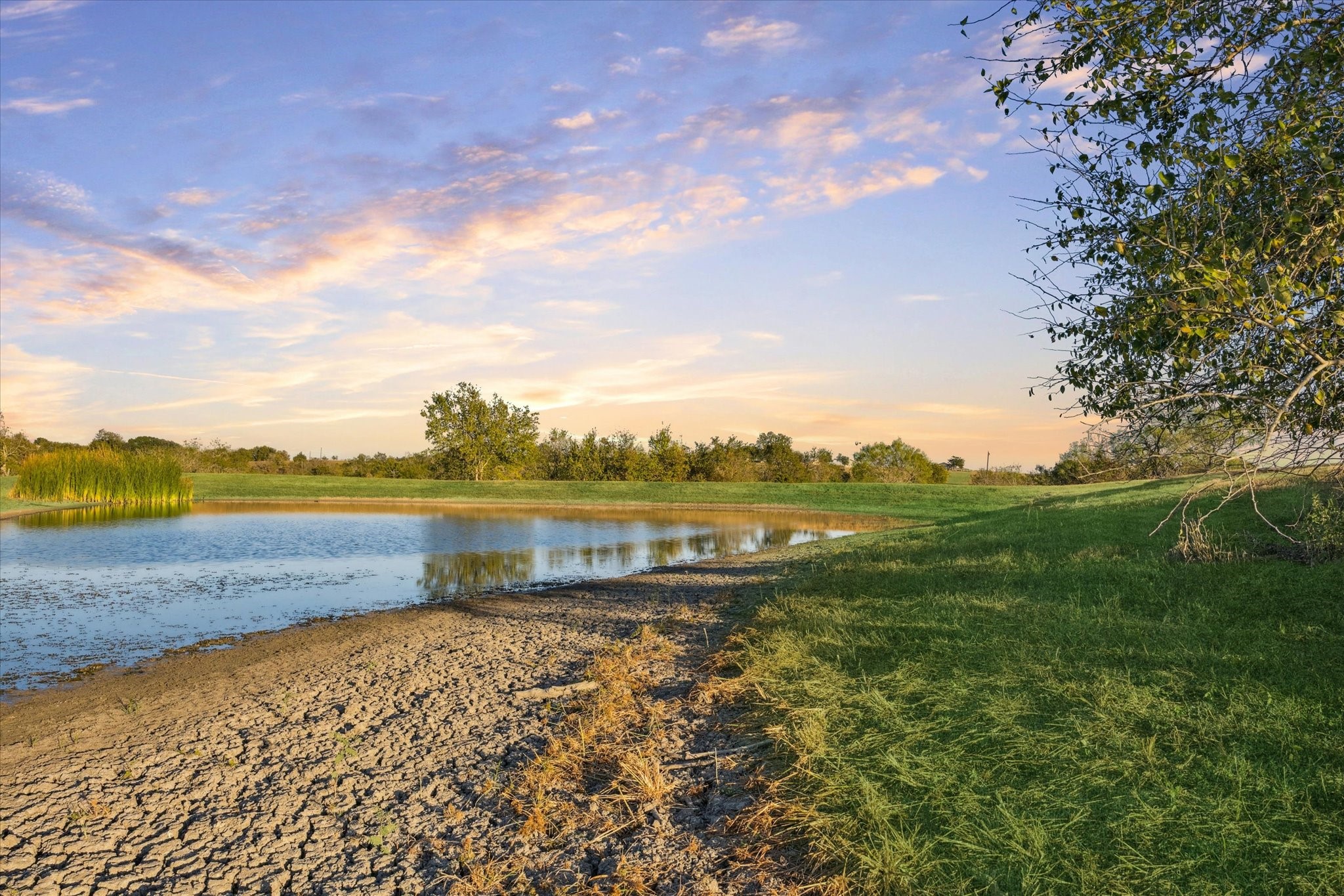 1017 Rockhouse Road New Ulm, TX 78950 - Photo 16 of 19