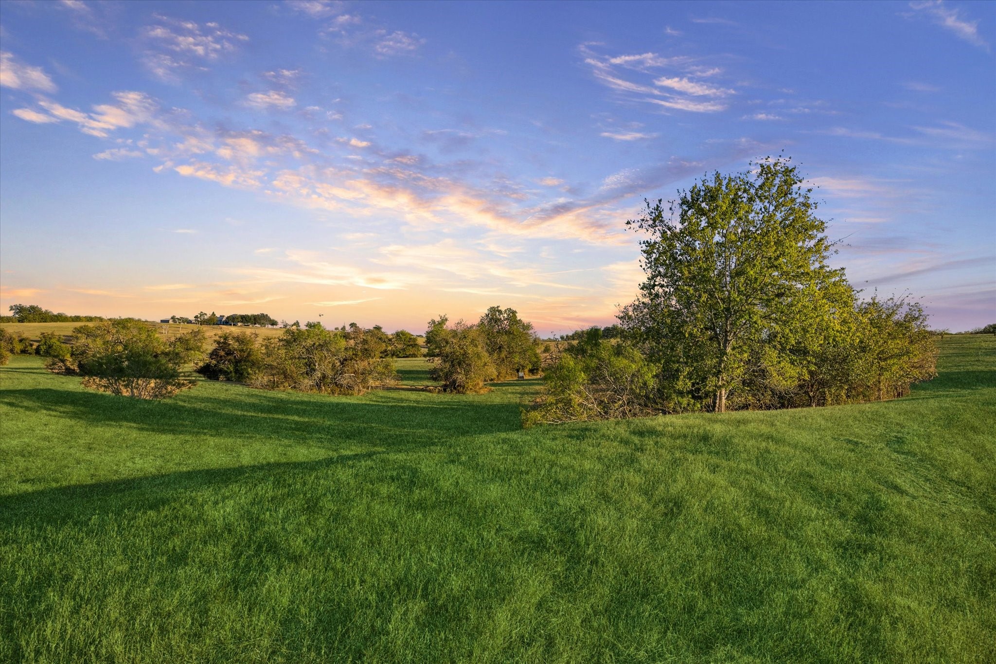 1017 Rockhouse Road New Ulm, TX 78950 - Photo 18 of 19